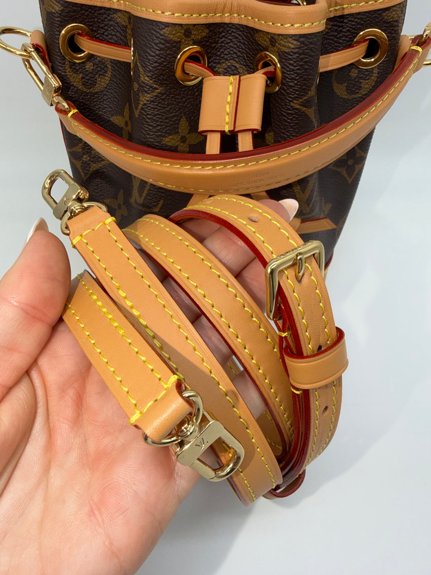 Louis Vuitton Nano Noe Mini Bag