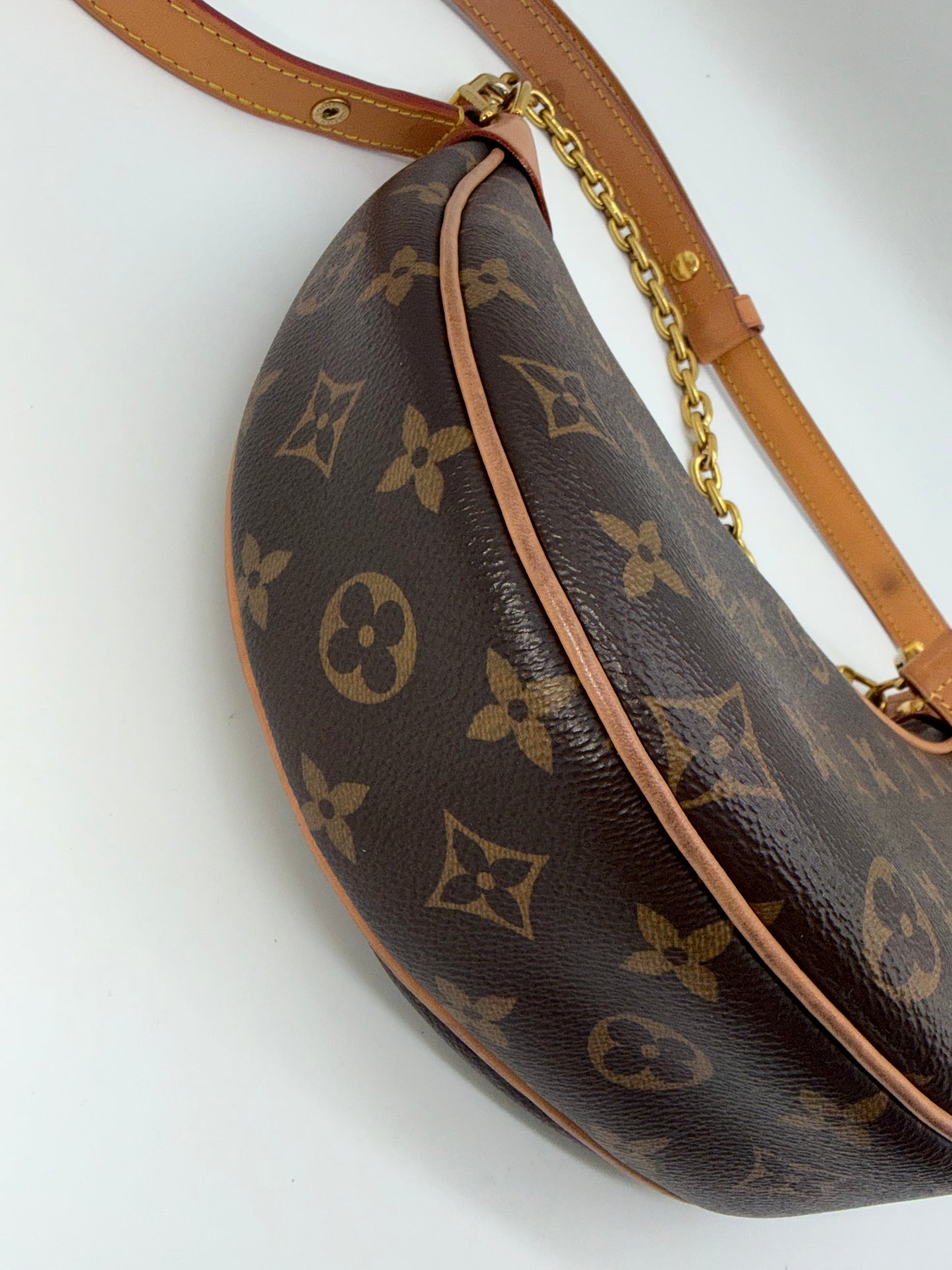 Louis Vuitton Monogram Loop