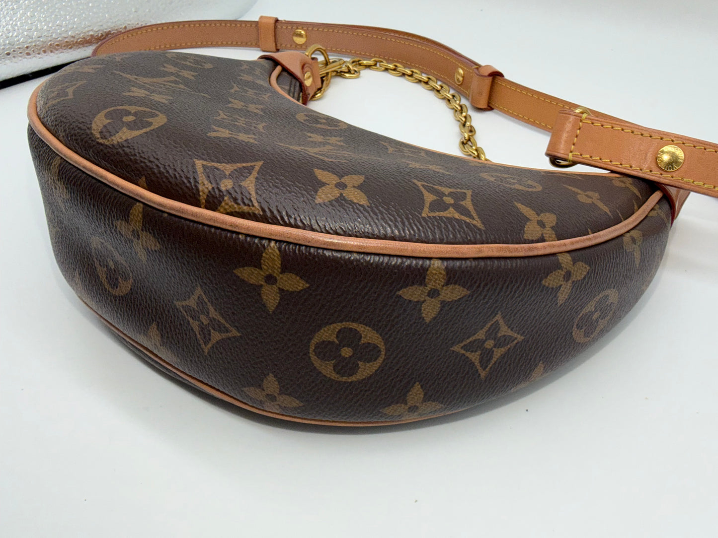 Louis Vuitton Monogram Loop