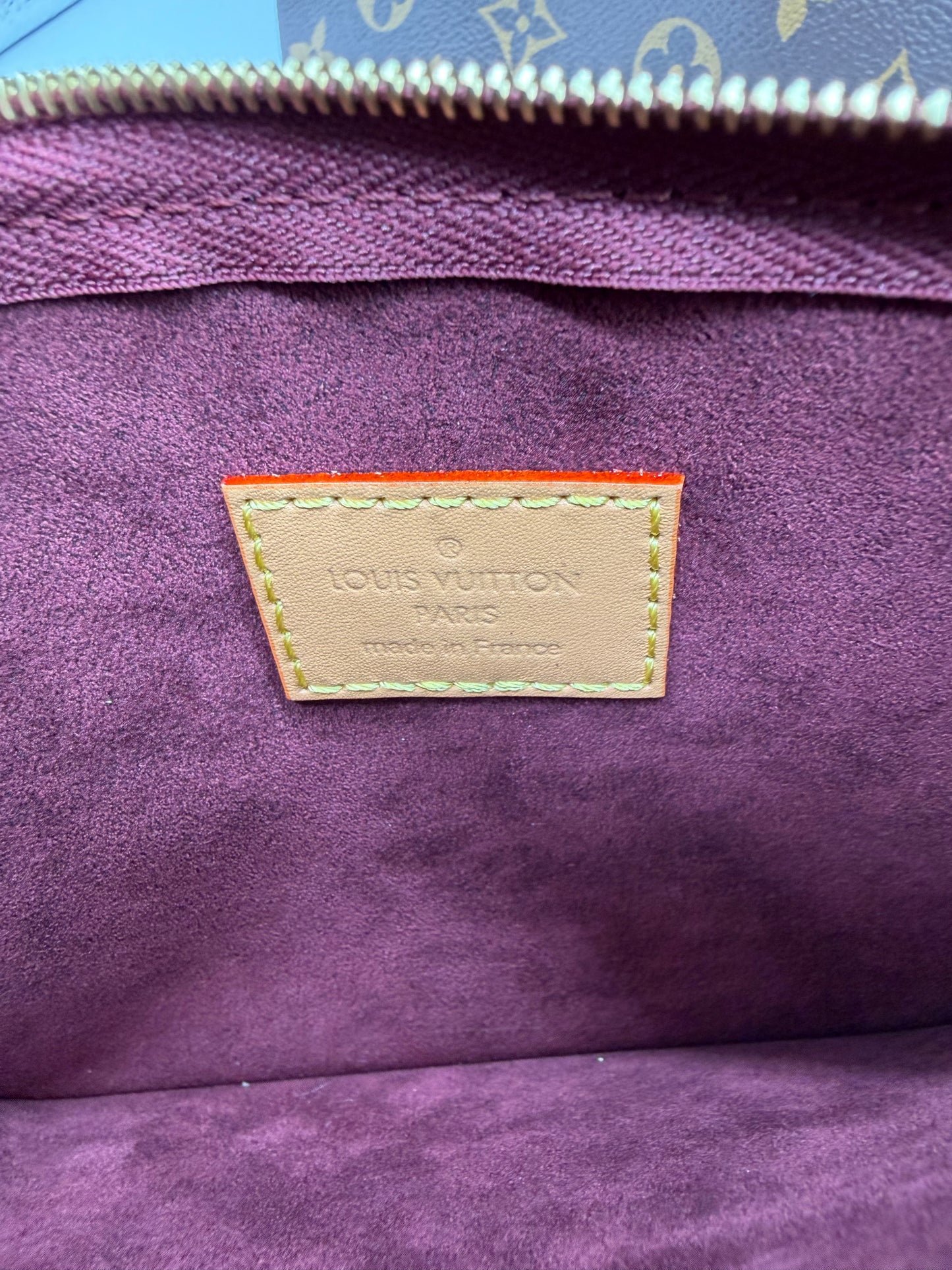 Louis Vuitton Monogram Carry All