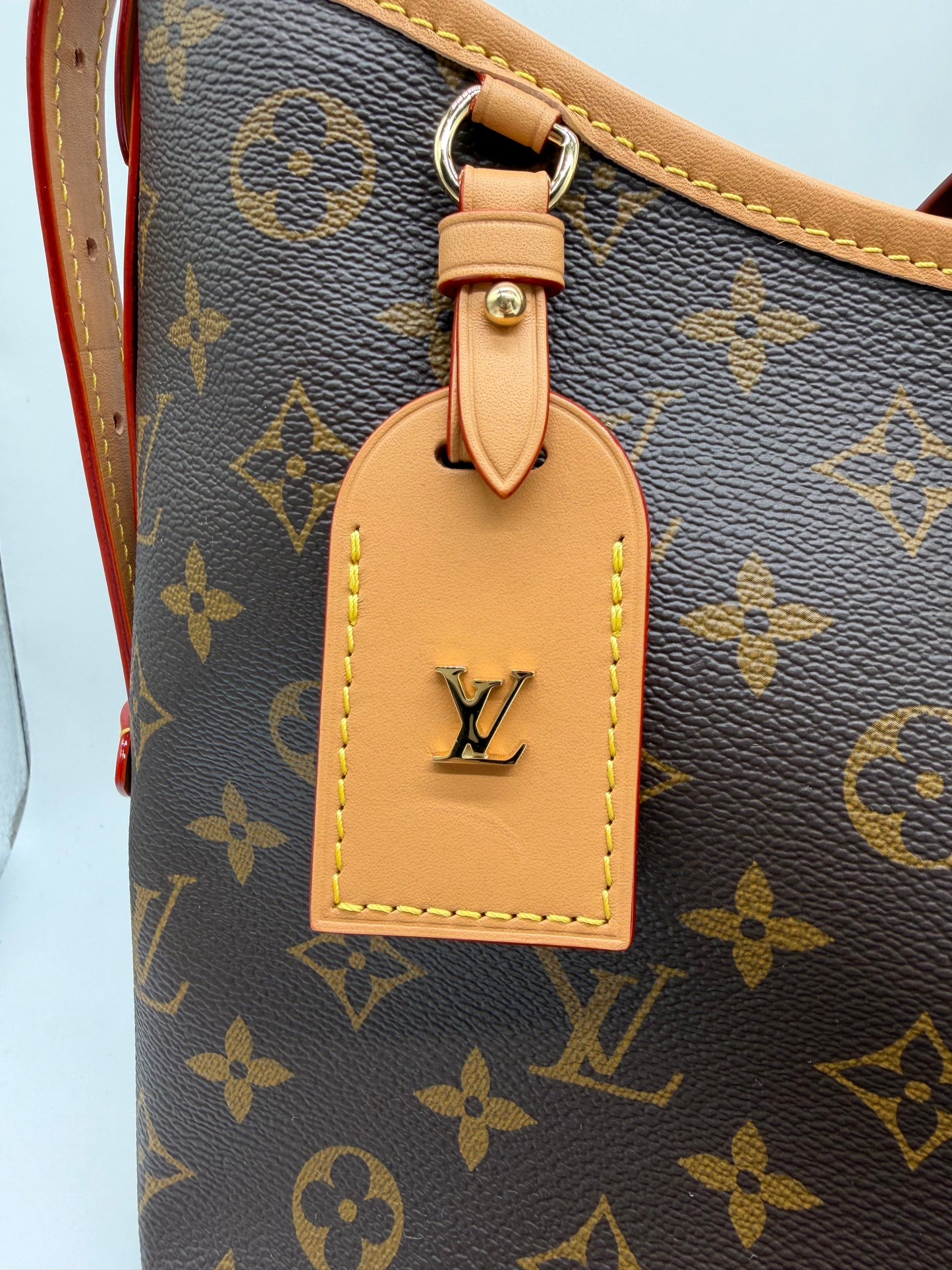 Louis Vuitton Monogram Carry All