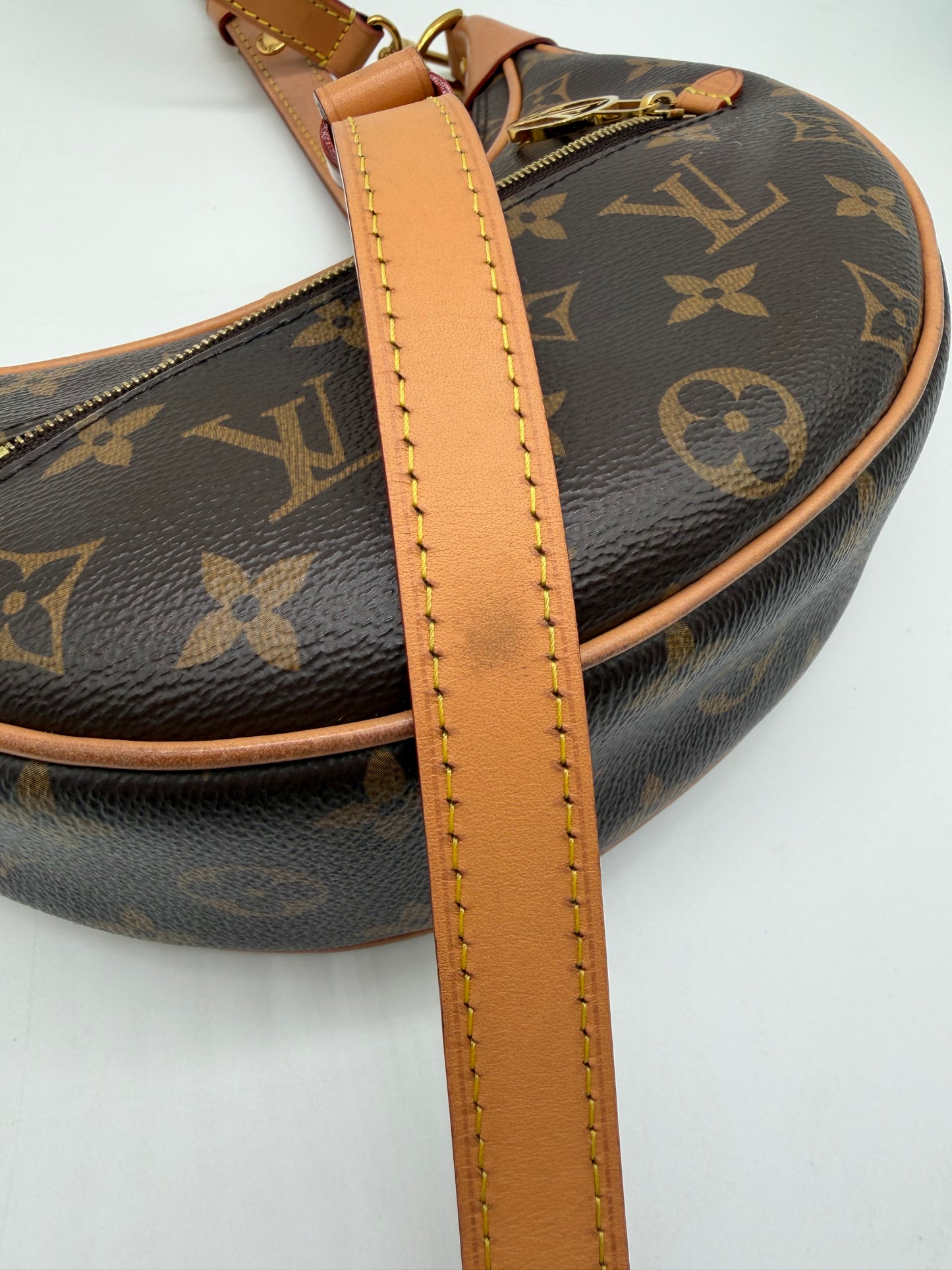 Louis Vuitton Monogram Loop