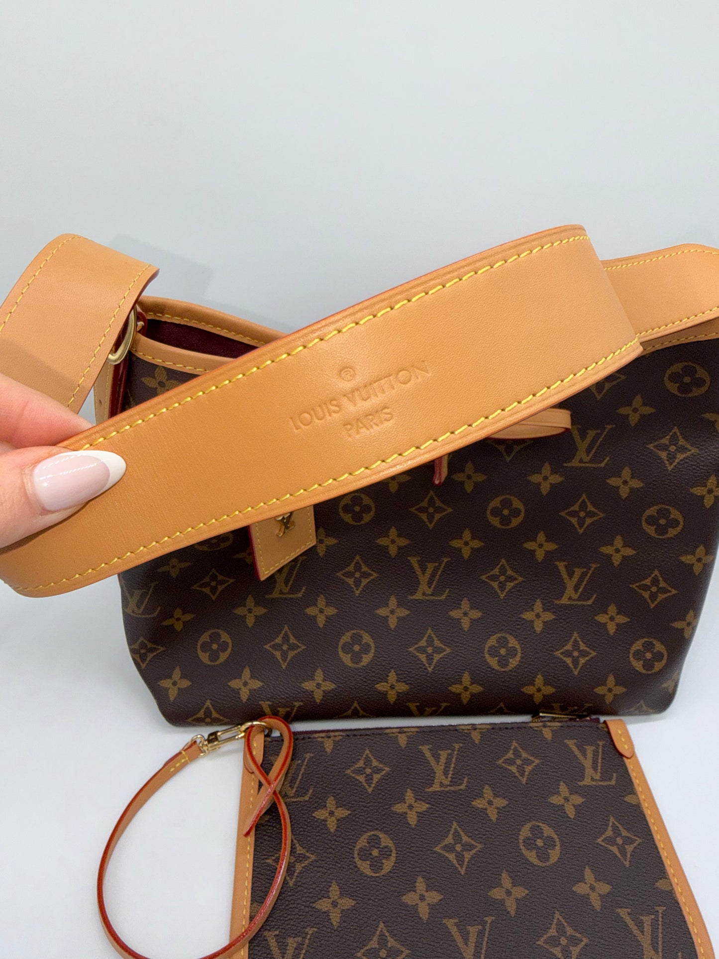 Louis Vuitton Monogram Carry All