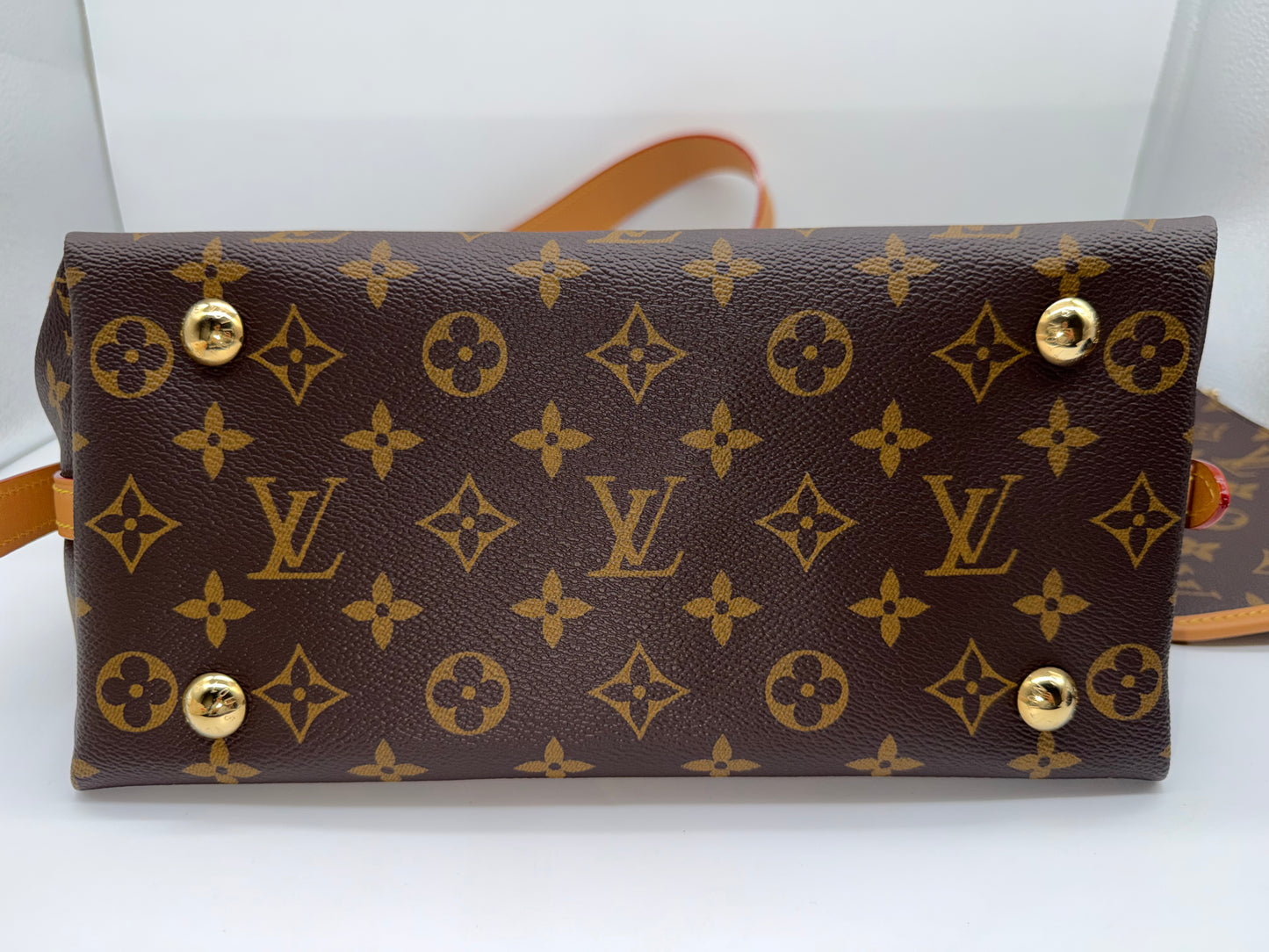 Louis Vuitton Monogram Carry All