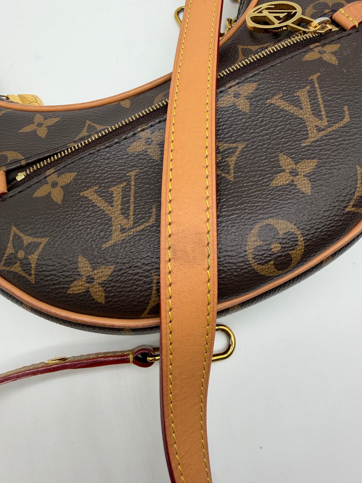 Louis Vuitton Monogram Loop