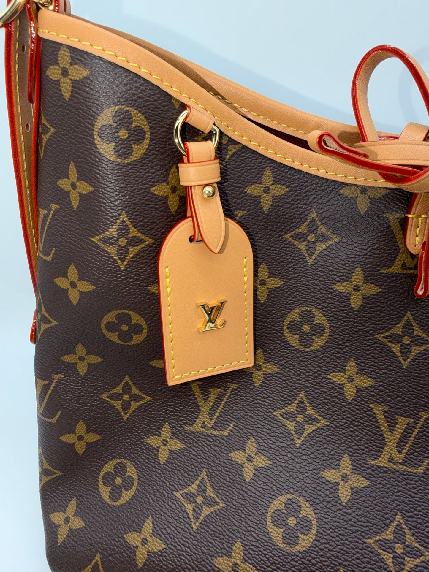Louis Vuitton Monogram Carry All