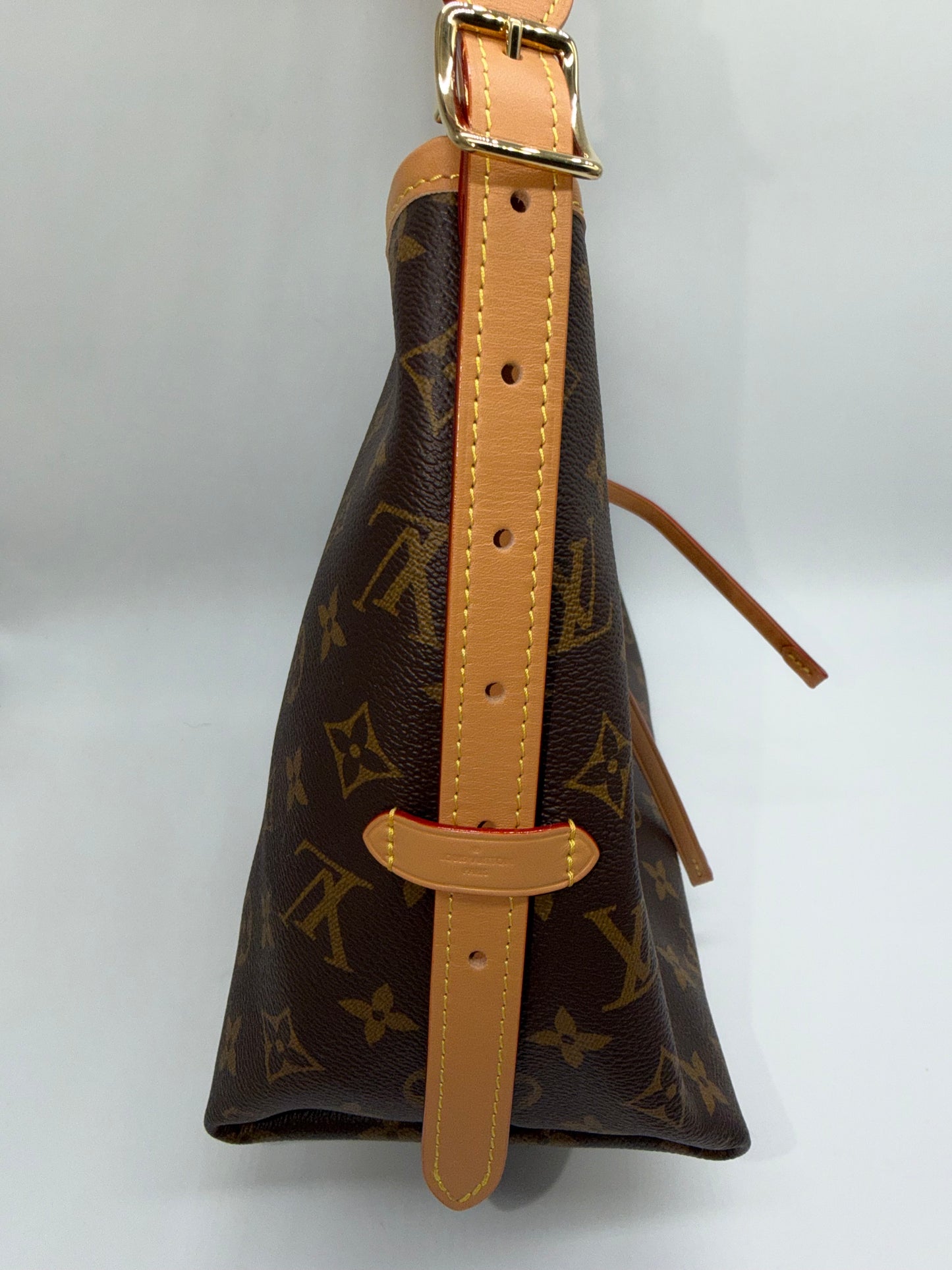 Louis Vuitton Monogram Carry All