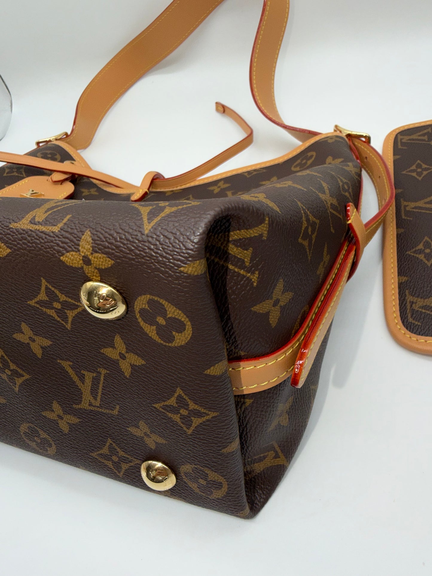 Louis Vuitton Monogram Carry All