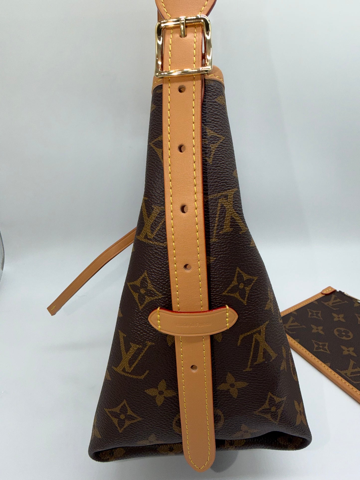 Louis Vuitton Monogram Carry All